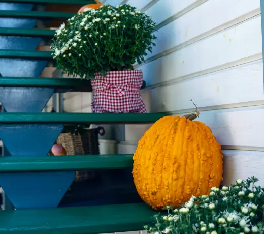 Merdiven Altı Boşluğu İçin Yaratıcı Tasarım Fikirleri