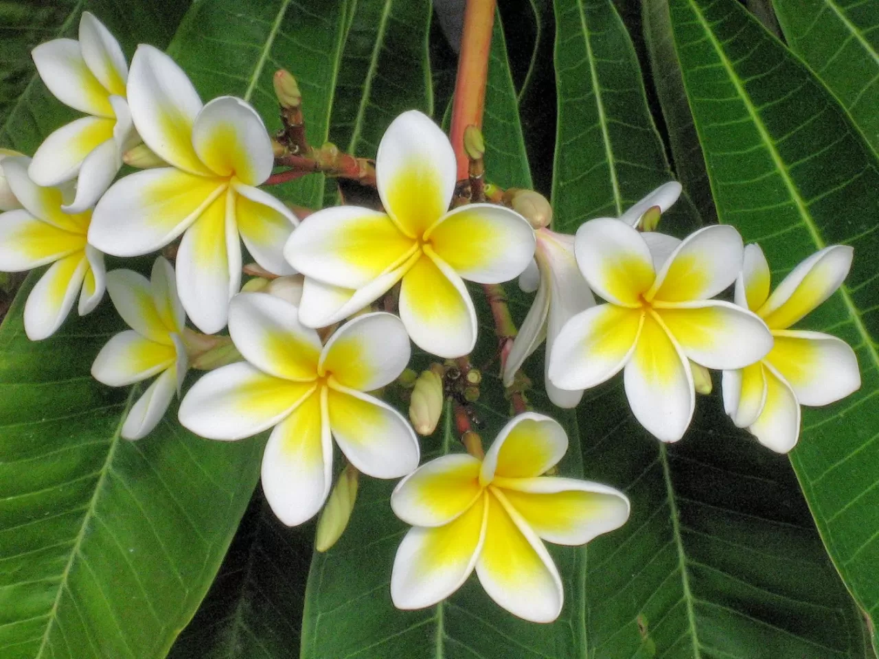 Malzemelerin Hazırlanması