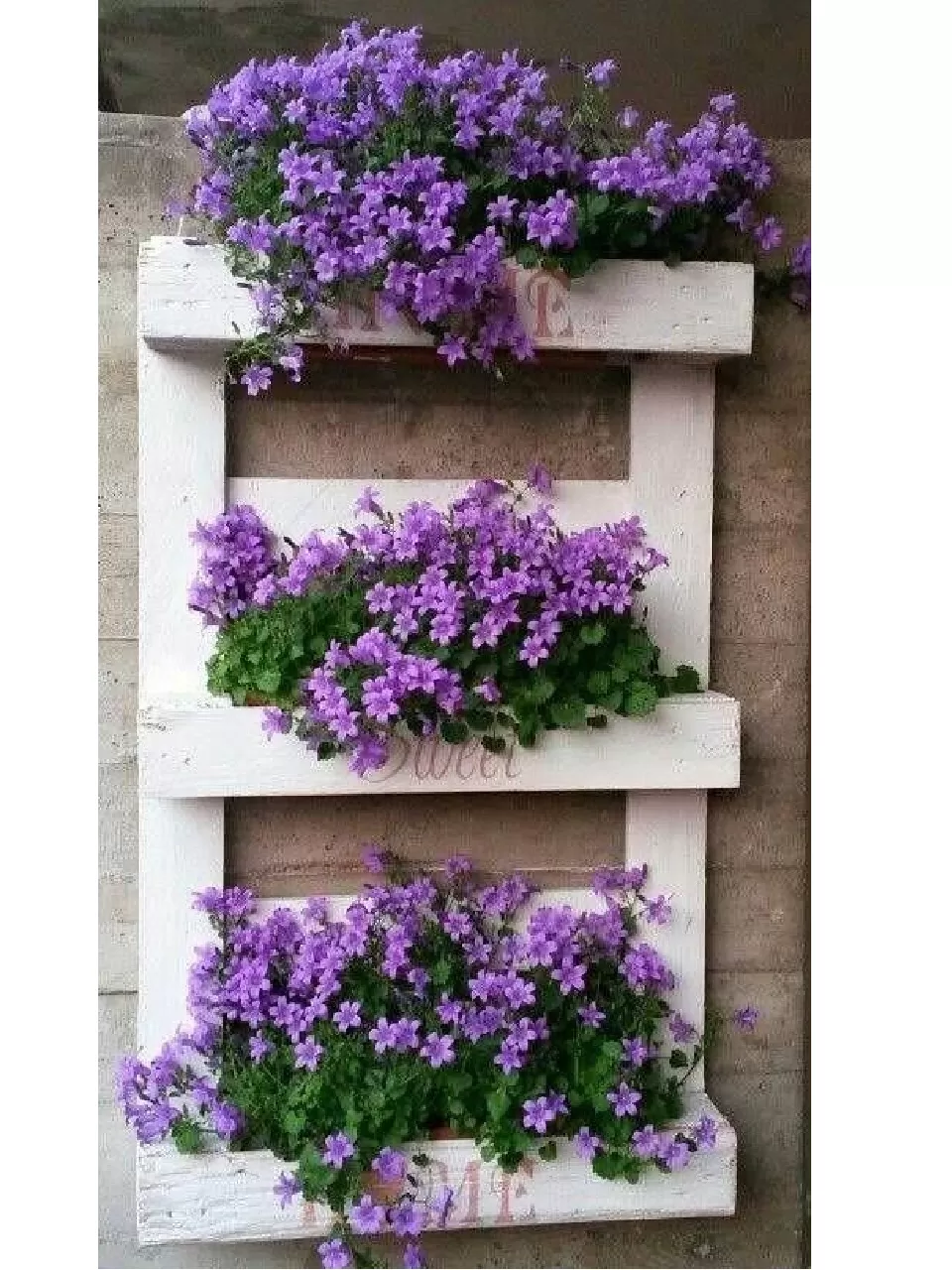 Üçlü Ahşap Çiçekli Saksılık