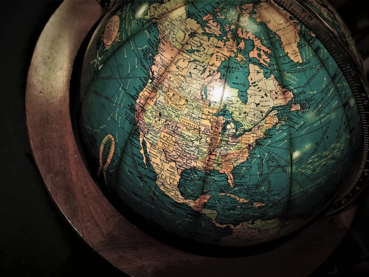 yer kabuğu ve plaka