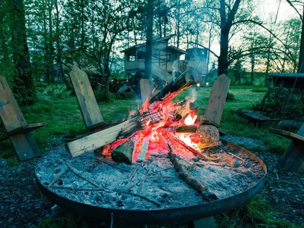 Cinsiyet Öğrenme Fikirleri Ateş