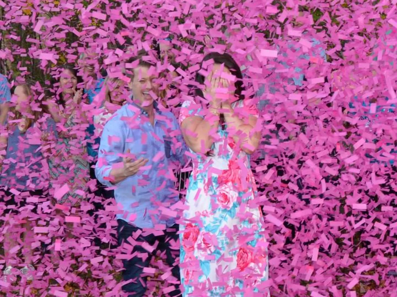 Cinsiyet Öğrenme Fikirleri Konfeti Patlatma