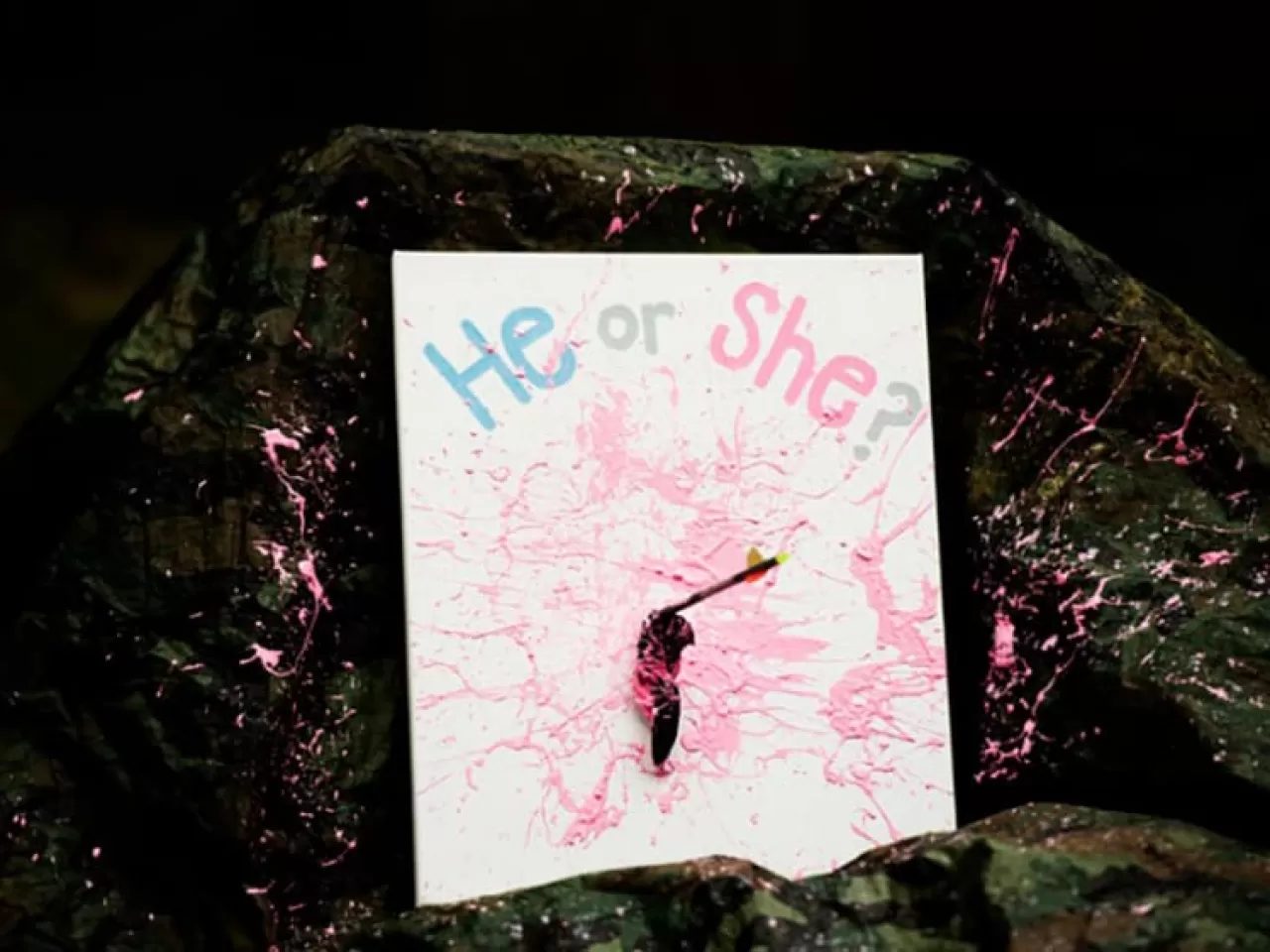 Cinsiyet Öğrenme Fikirleri Ok ve Yay