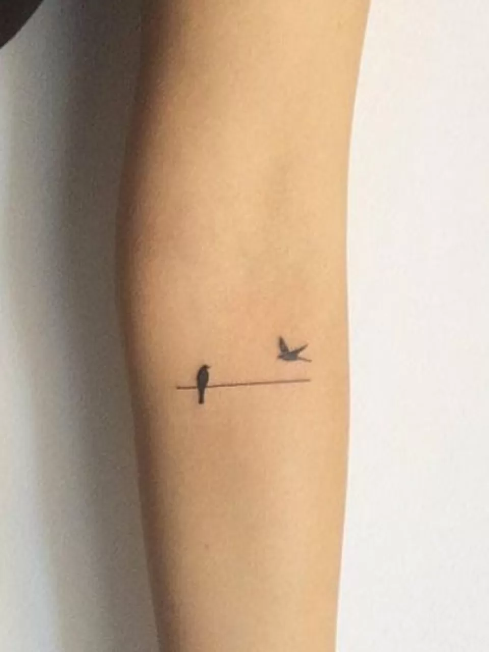 Kuş Dövmesi Tasarımı 13