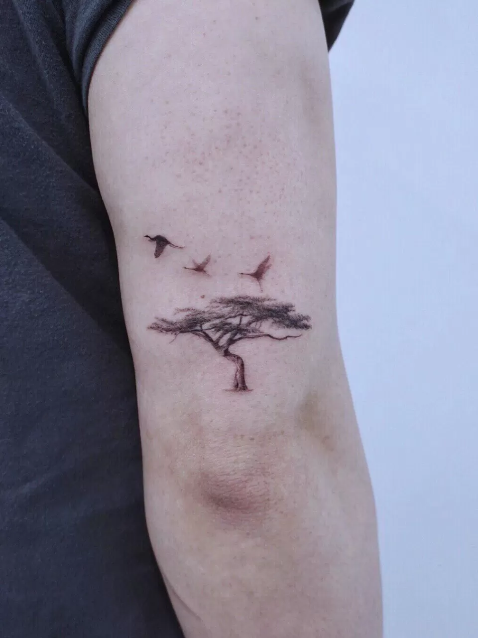 Kuş Dövmesi Tasarımı 22