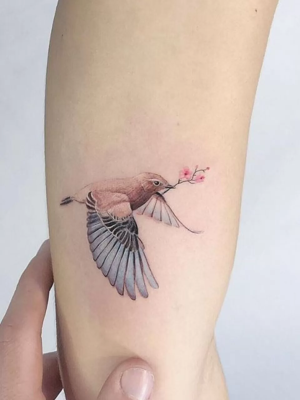 Kuş Dövmesi Tasarımı 44