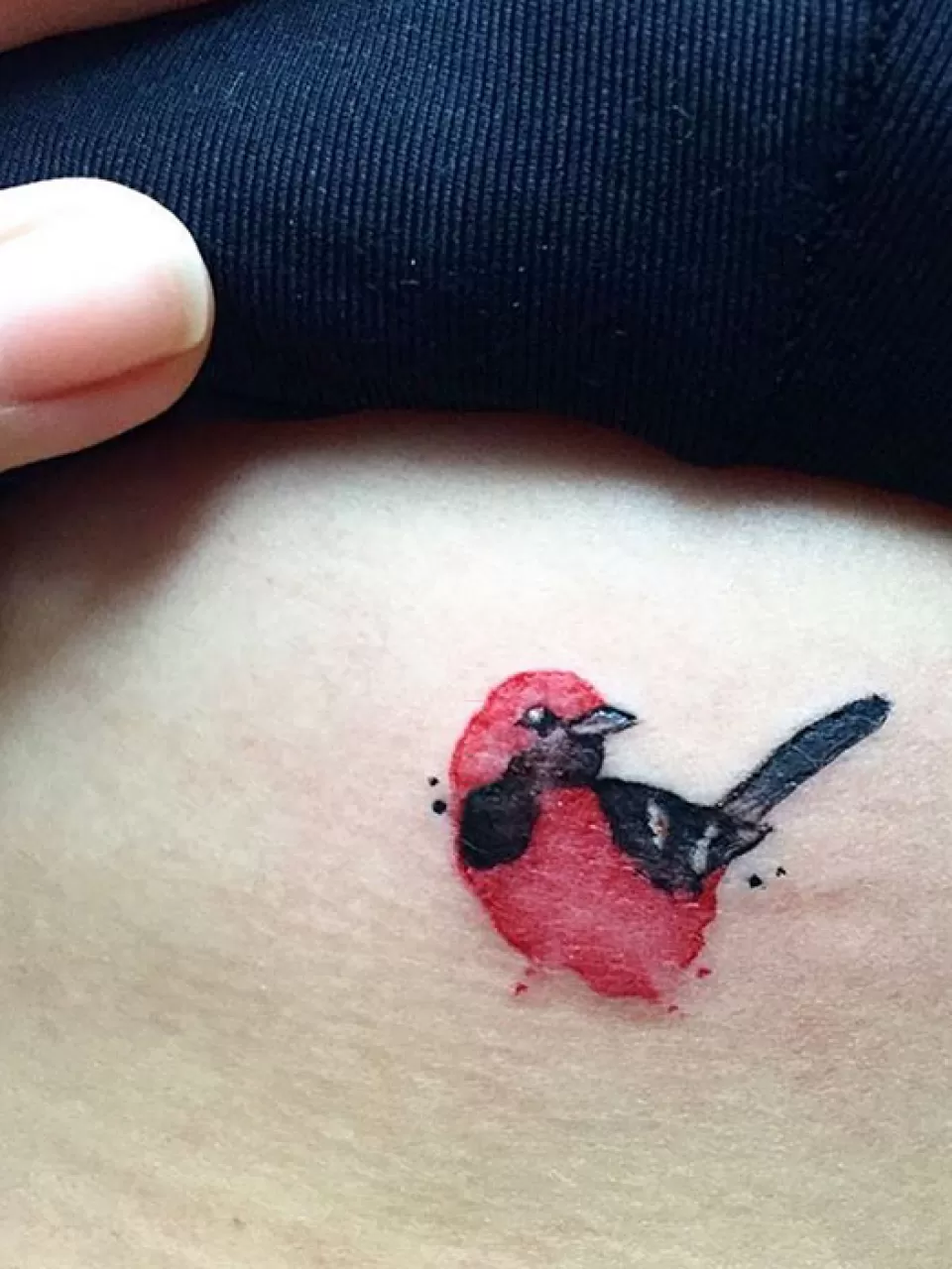 Kuş Dövmesi Tasarımı 55