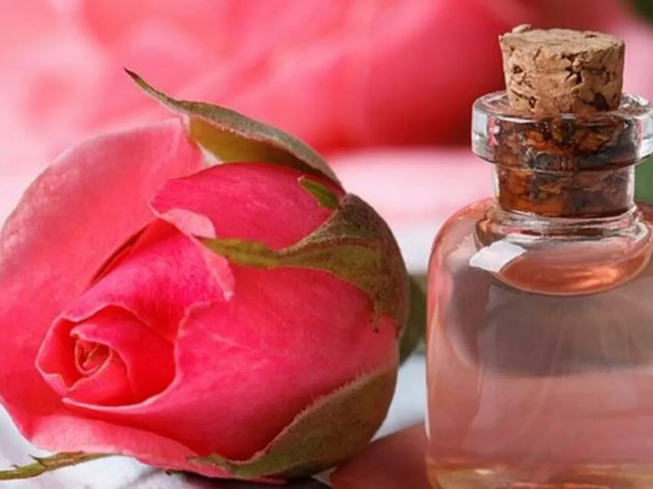 sivilceler için gül suyu