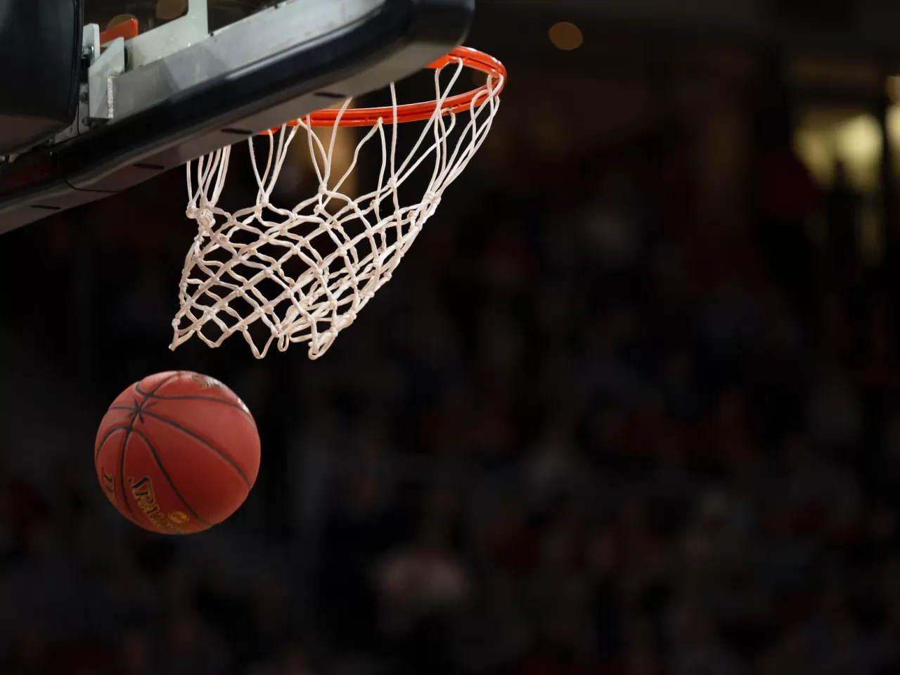 Basketbol Toplarının Özellikleri ve En İyi 10 Basketbol Topu