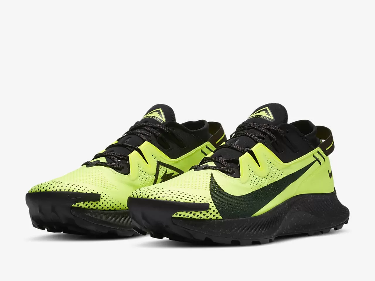 Nike Pegasus Trail 2