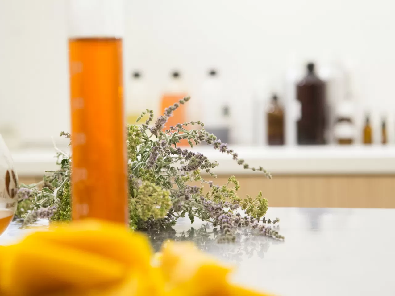 Çay Ağacı ve Lavanta Yağlı Deodorant