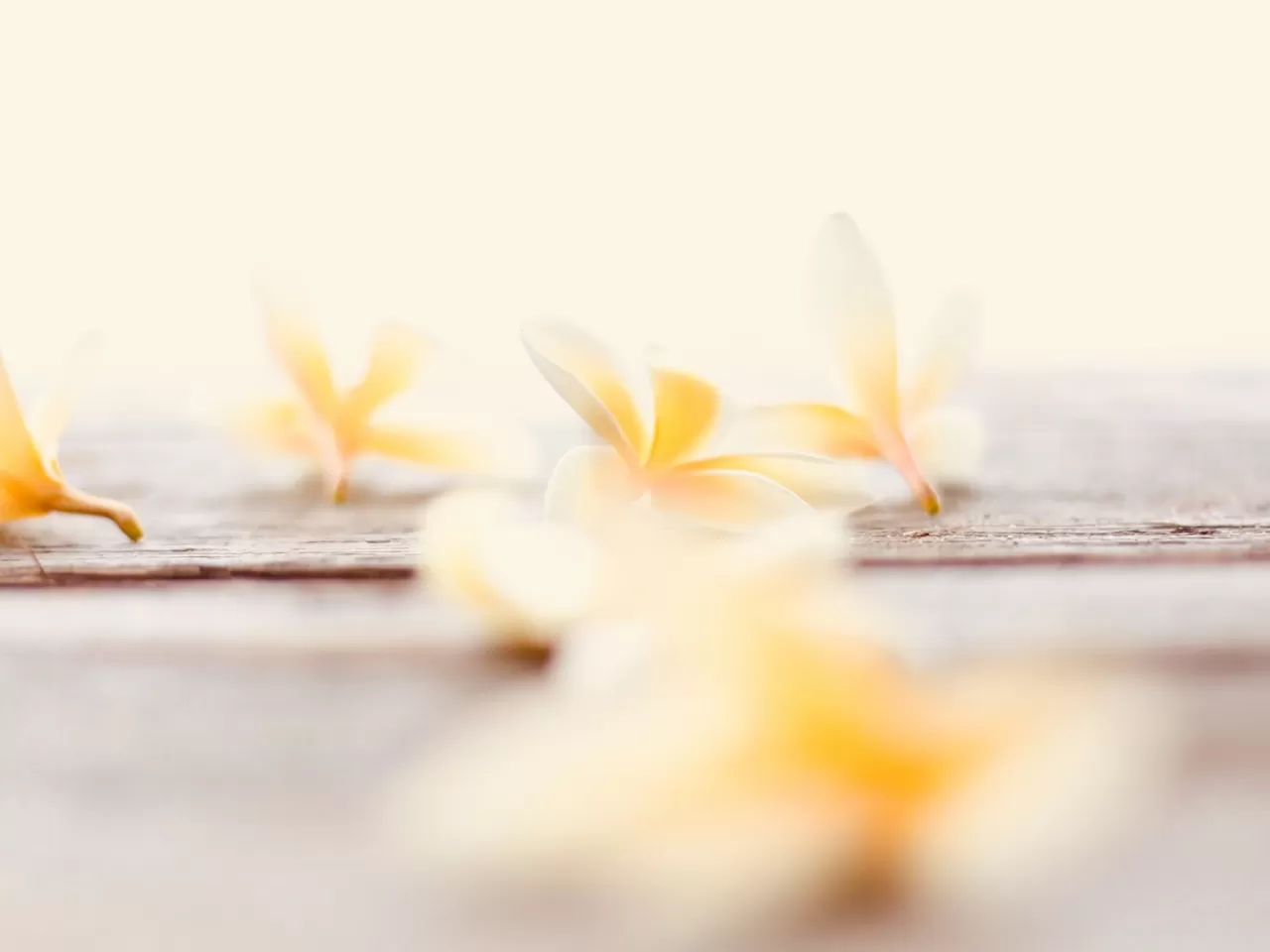 Katı Vanilyalı Doğal Deodorant: