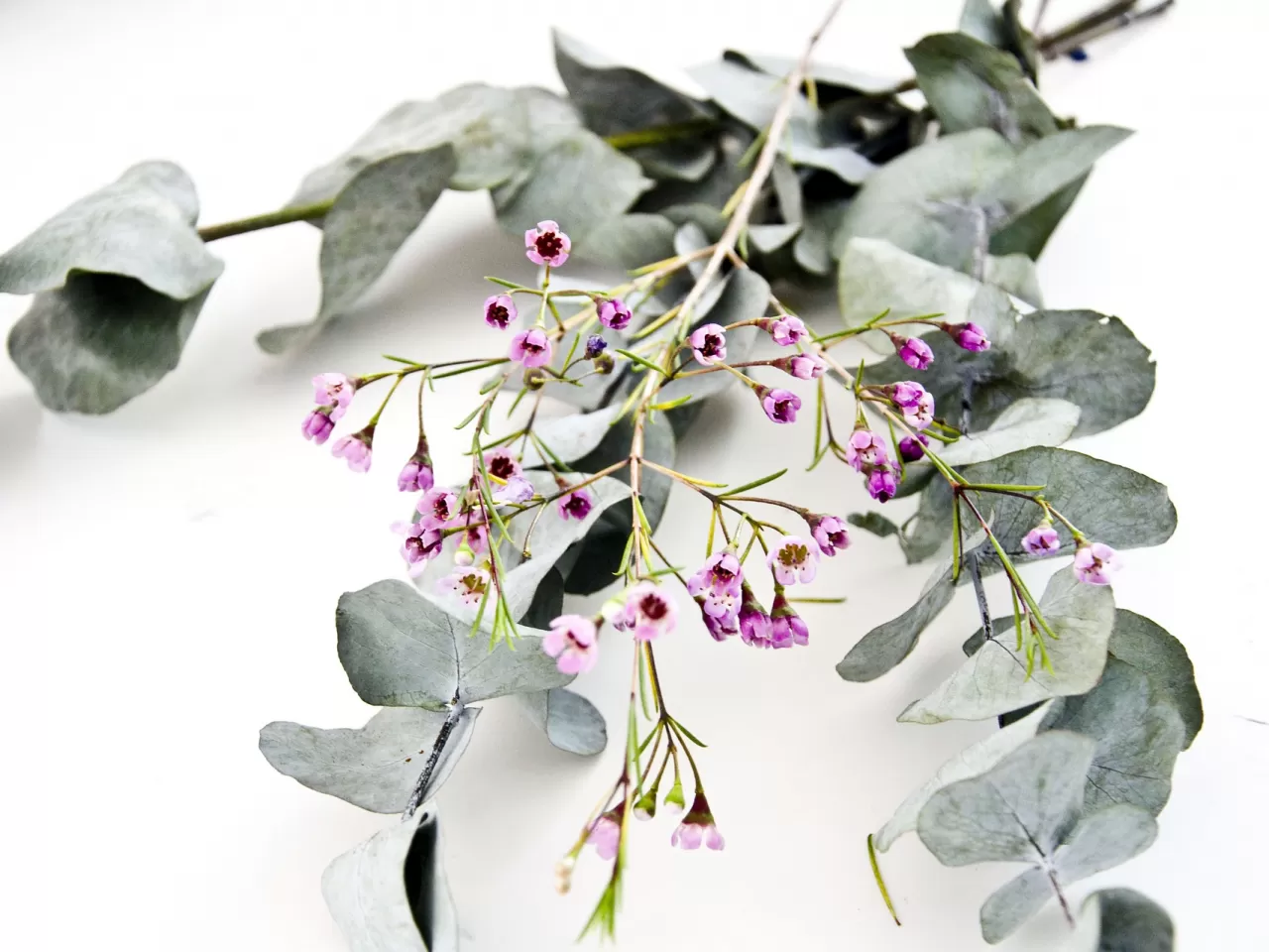 Okaliptüs/Çay Çiçeği Esansiyel Yağlı Deodorant