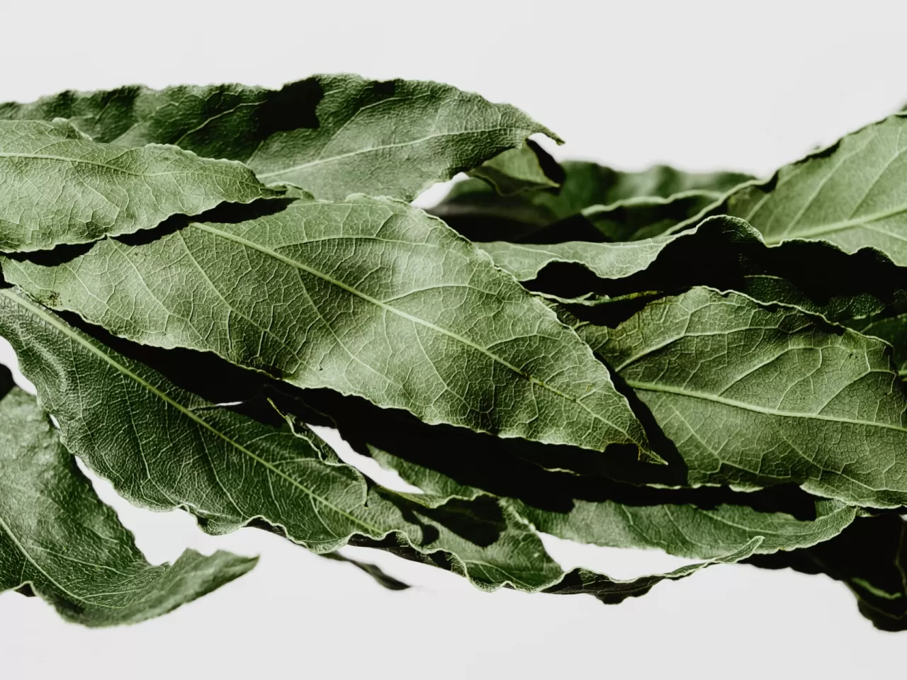 9- Defne Sakızlı Doğal Diş Macunu