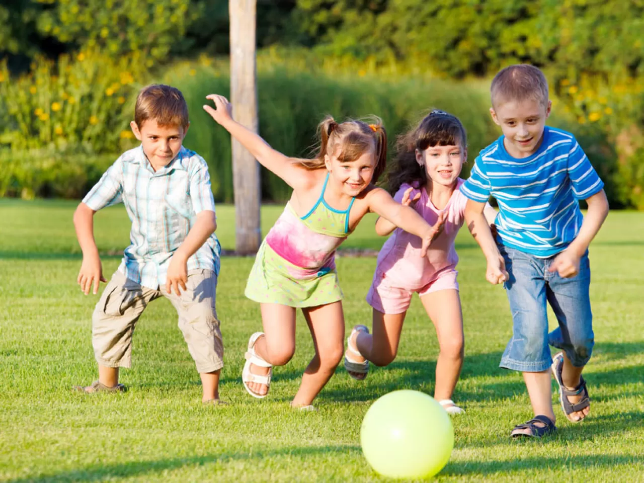 Ateş, Toprak, Hava, Su 