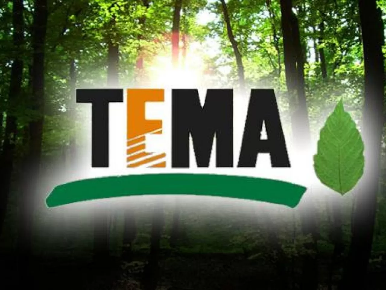 tema vakfına bağış