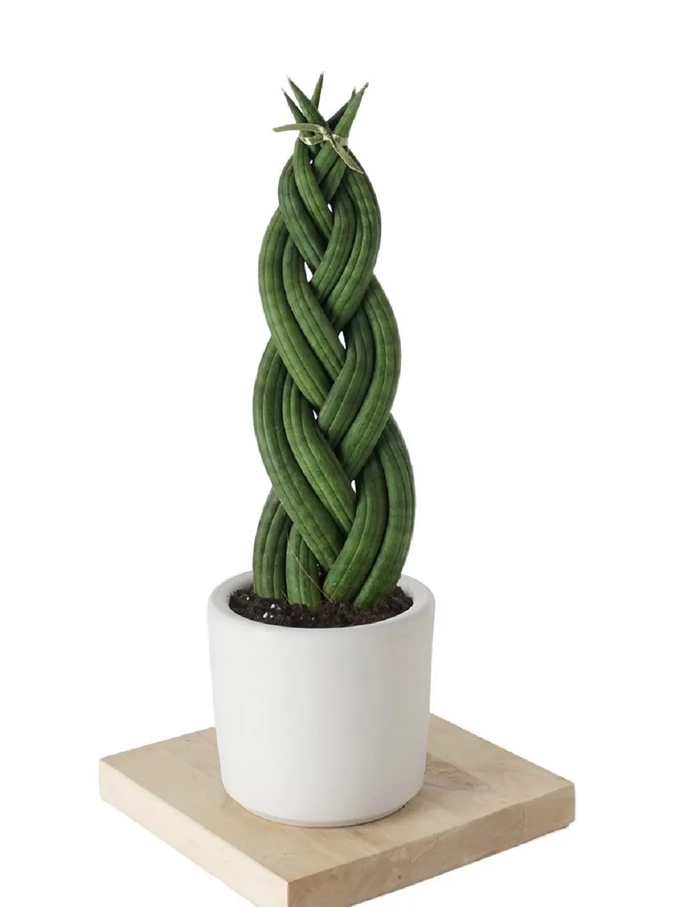 Örgülü Paşa Kılıcı