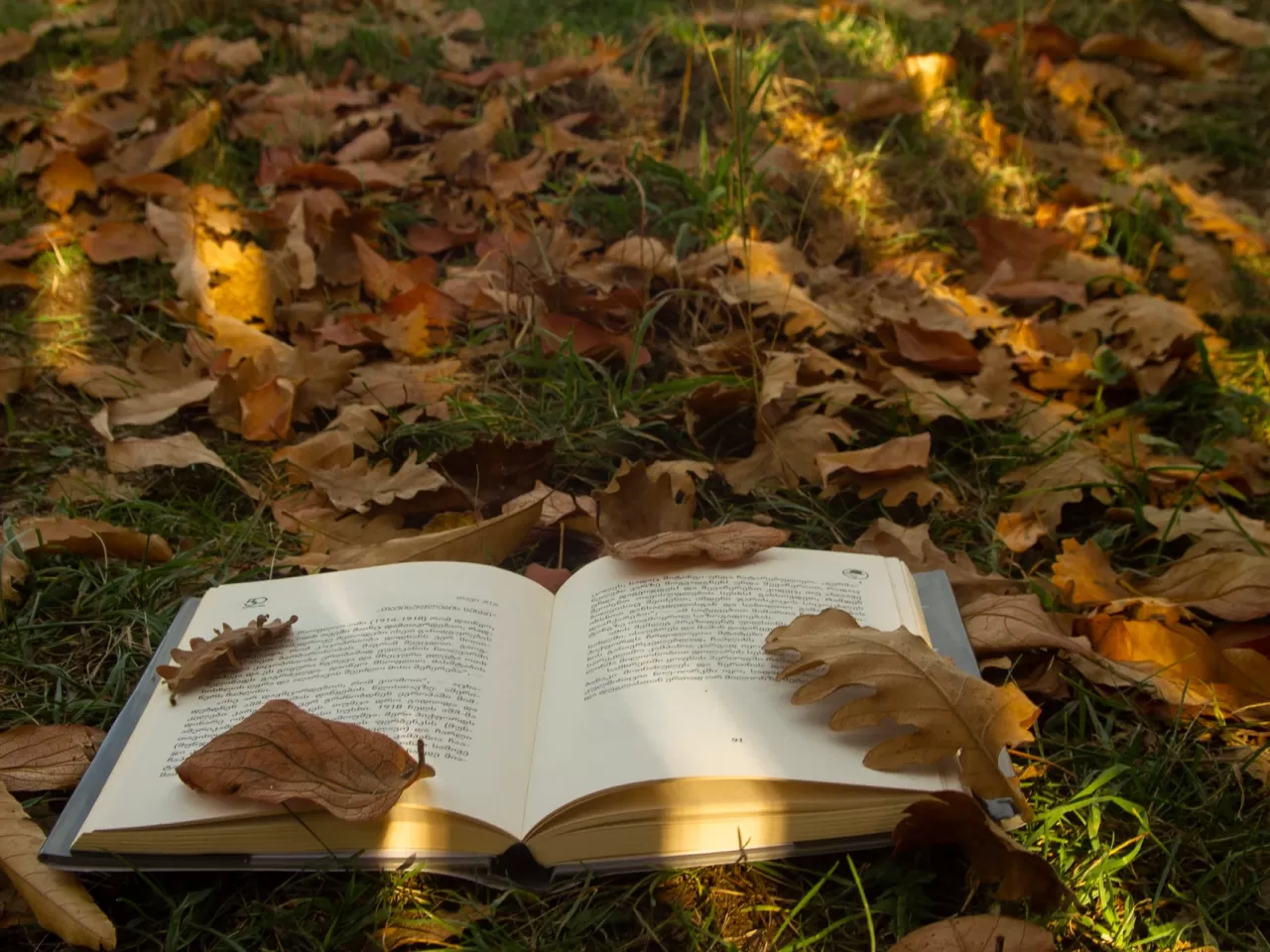 İlk Psikolojik Romanımız Eylül’ün İncelemesi