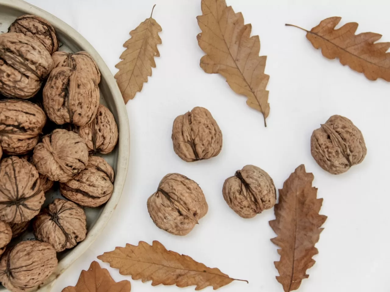 Bebek Pişiğine Ceviz Yaprağı