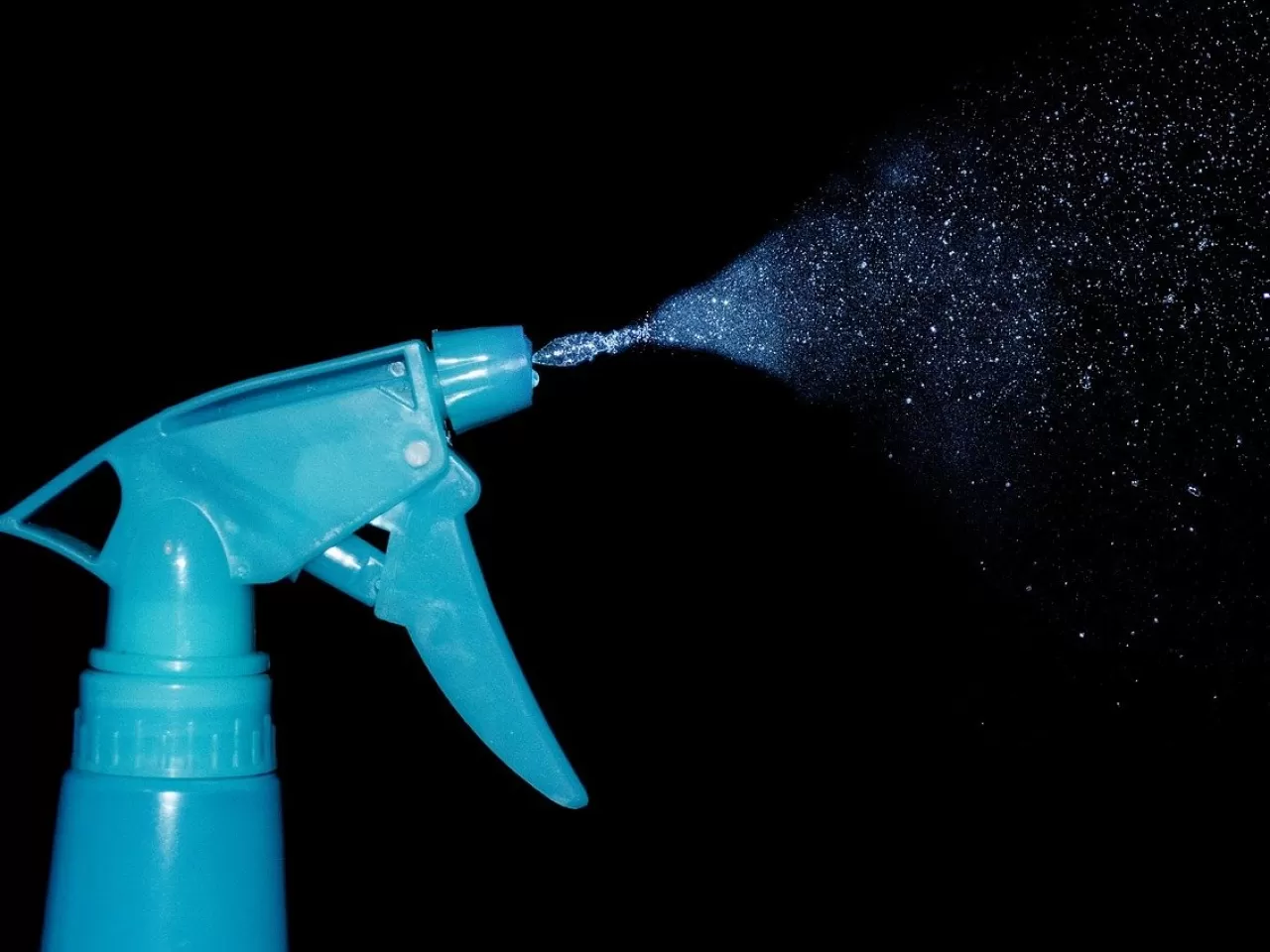 Karınca Kovmak İçin Sirke