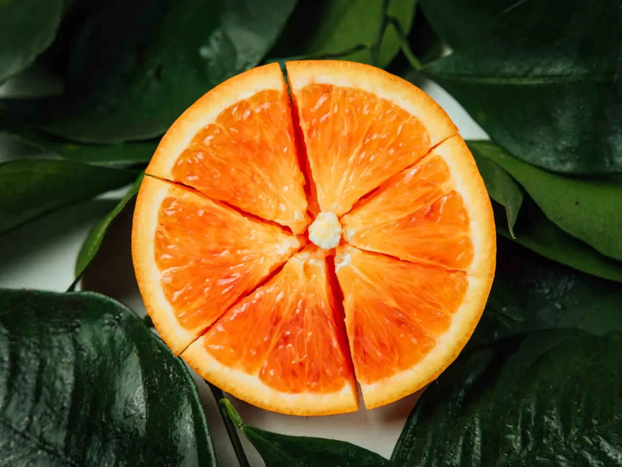 Karınca Kovmak İçin Portakal