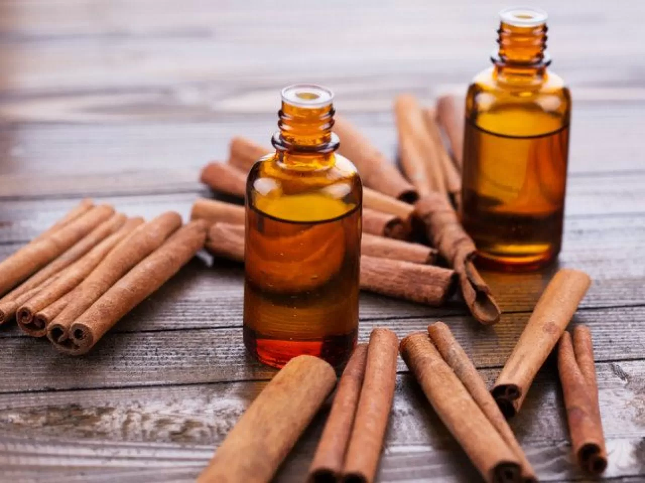 Karınca Kovmak İçin Tarçın Yağı