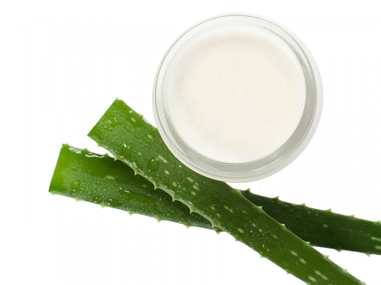 Aloe Vera, Badem ve Jojobalı El Kremi