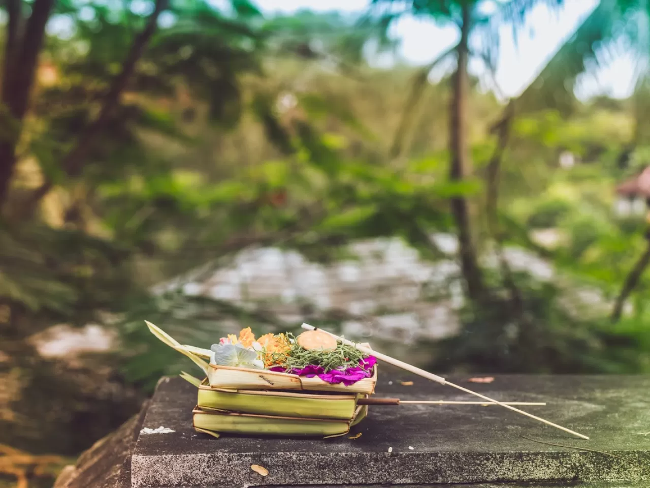 Doğal Tütsü Olarak Kullanılabilecek Bitkiler