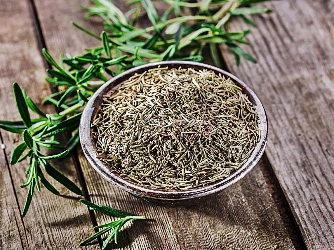 Biberiye (Salvia rosmarinus)