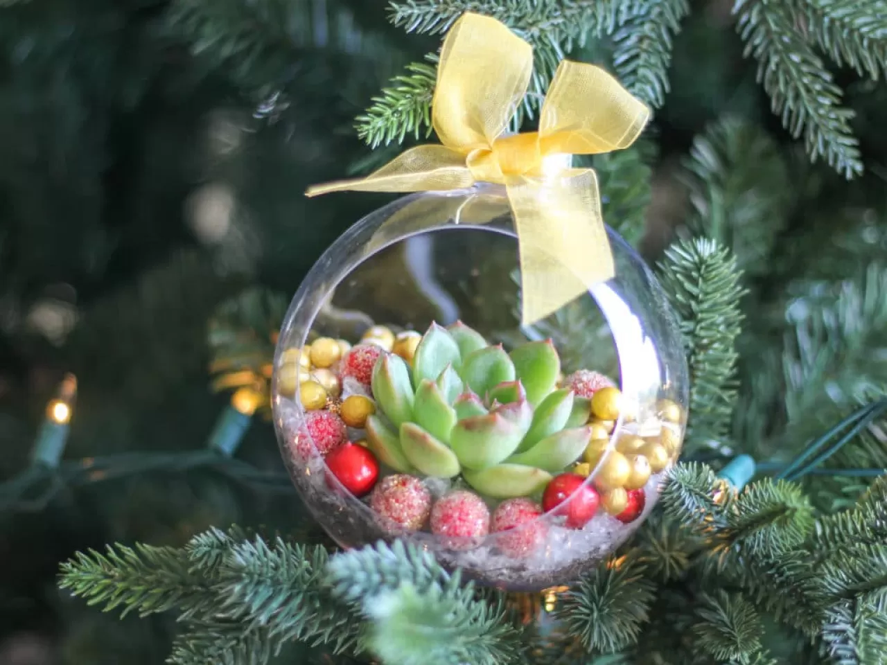 Yılbaşı Konseptli Mini Bahçe