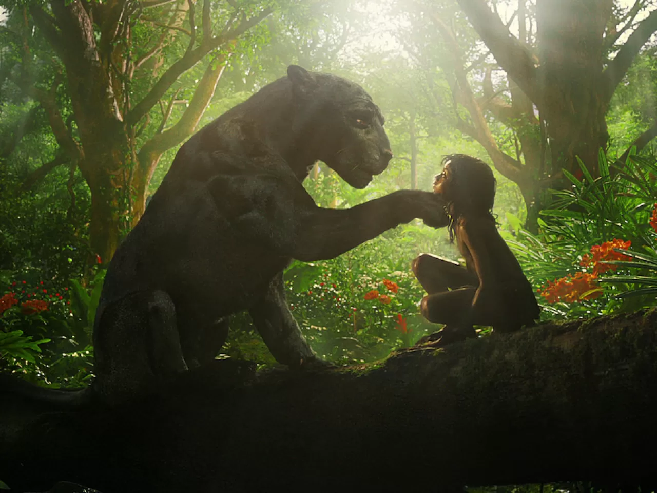 Mogli: Orman Çocuğu