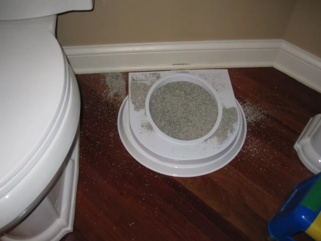 Kedilerde Kum Temizliği Nasıl ve Ne Sıklıkla Yapılmalıdır?