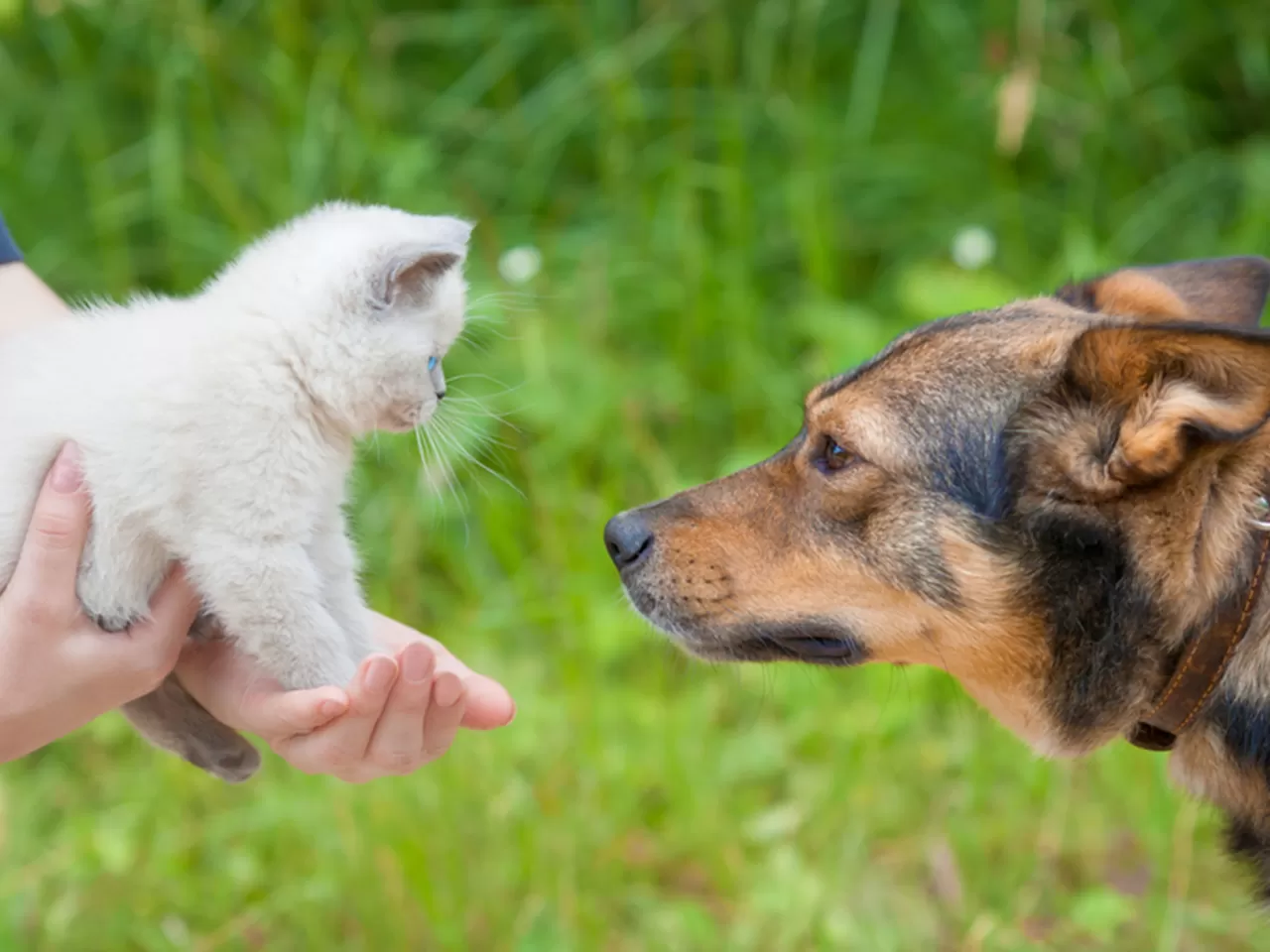 Psikolojik olarak rahatlatın
