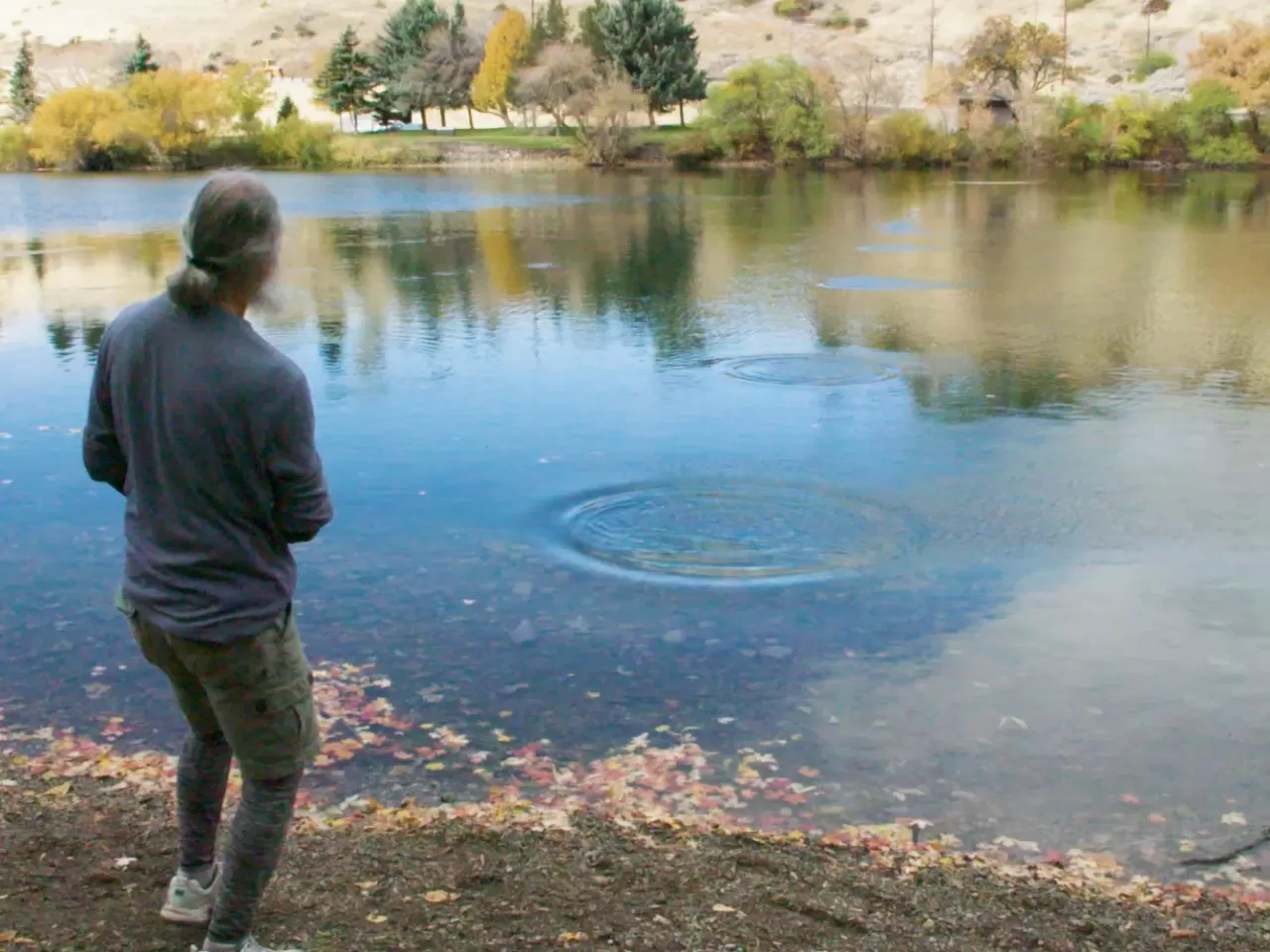 Suda Taş Sektirmece