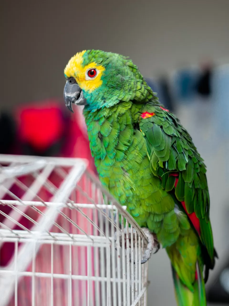 1 yaşından küçükse tekrar etmesini hemen beklemeyin