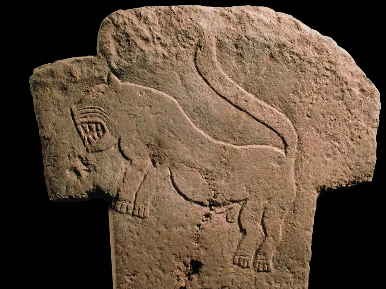 Sütunlarda En Sık Görülen Hayvan ve İnsan Tasvirleri