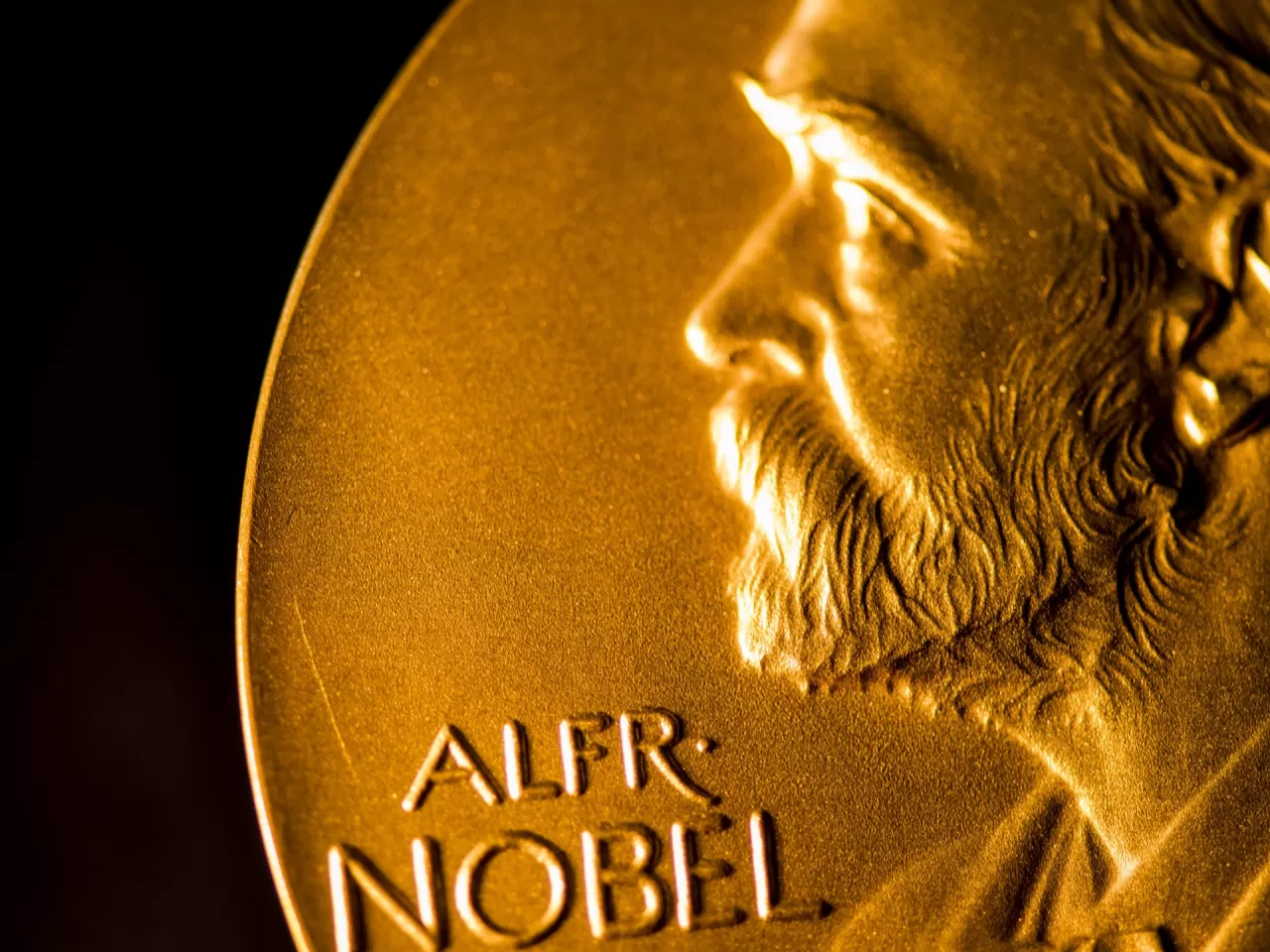 Nobel'e Aday Gösterilen ve Nobel Ödülü Alan Türkler