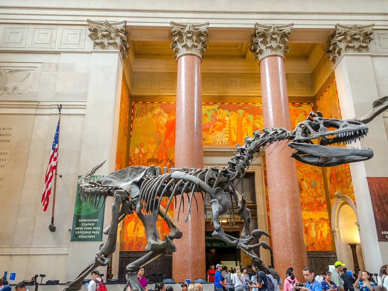 Amerikan Doğa Tarih Müzesi