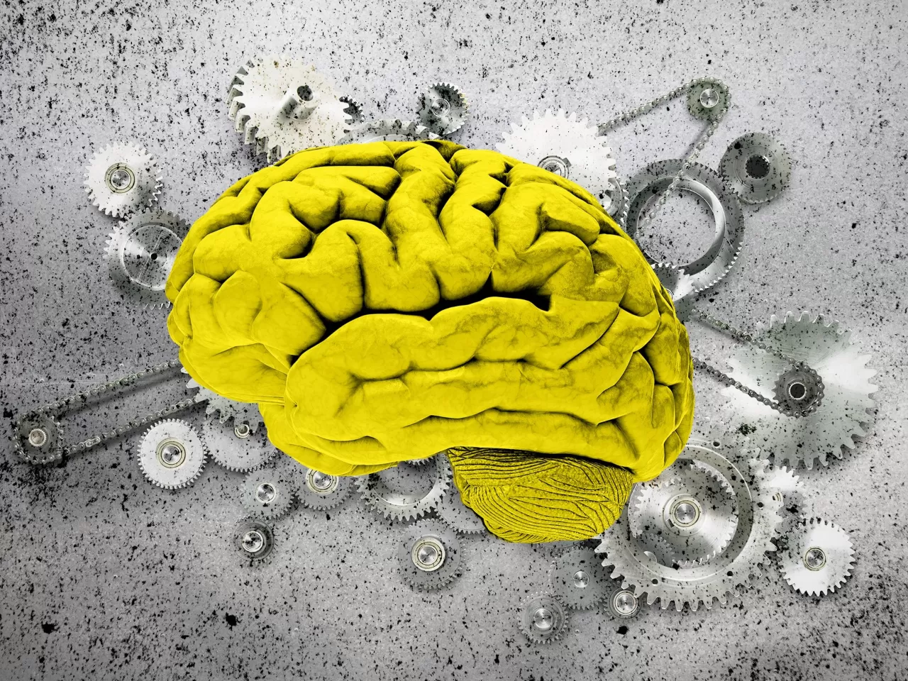 Yatırımcı Psikolojisini Yönetme