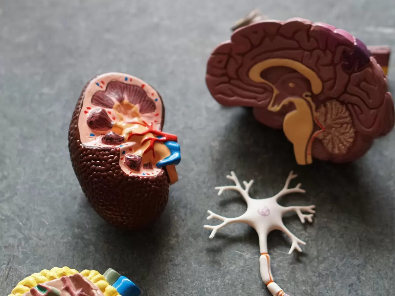 Yatırımcı Psikolojisine Yenilmemek İçin Yapılacaklar