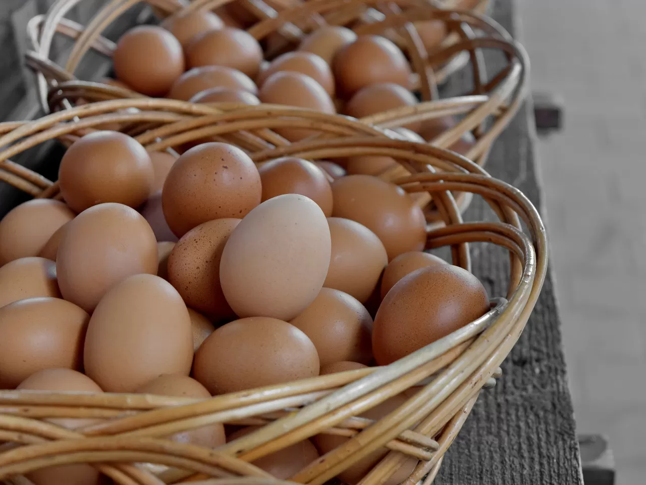 Portföy Çeşitlendirme Nedenleri