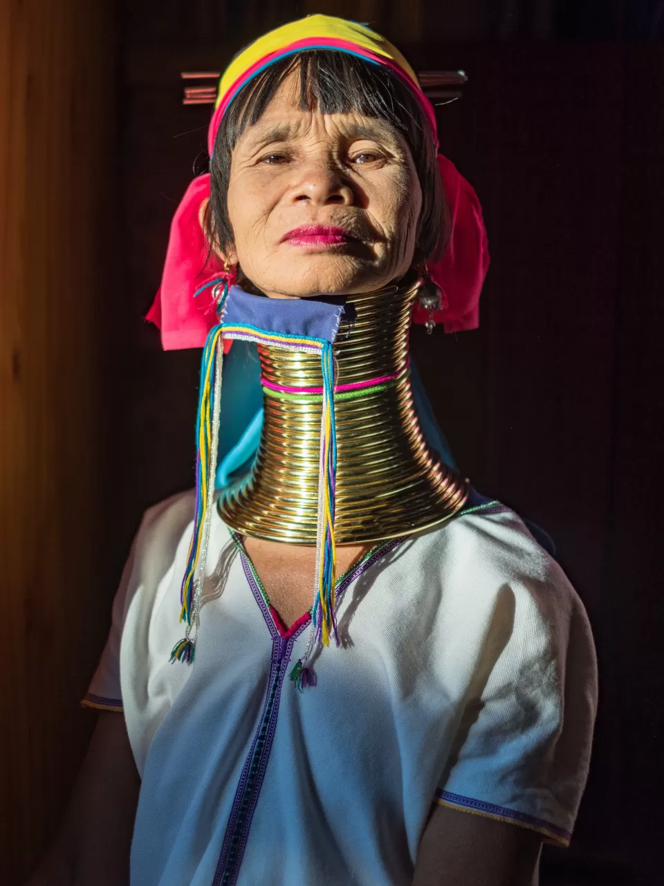 Ayşe Teyze Portföyü