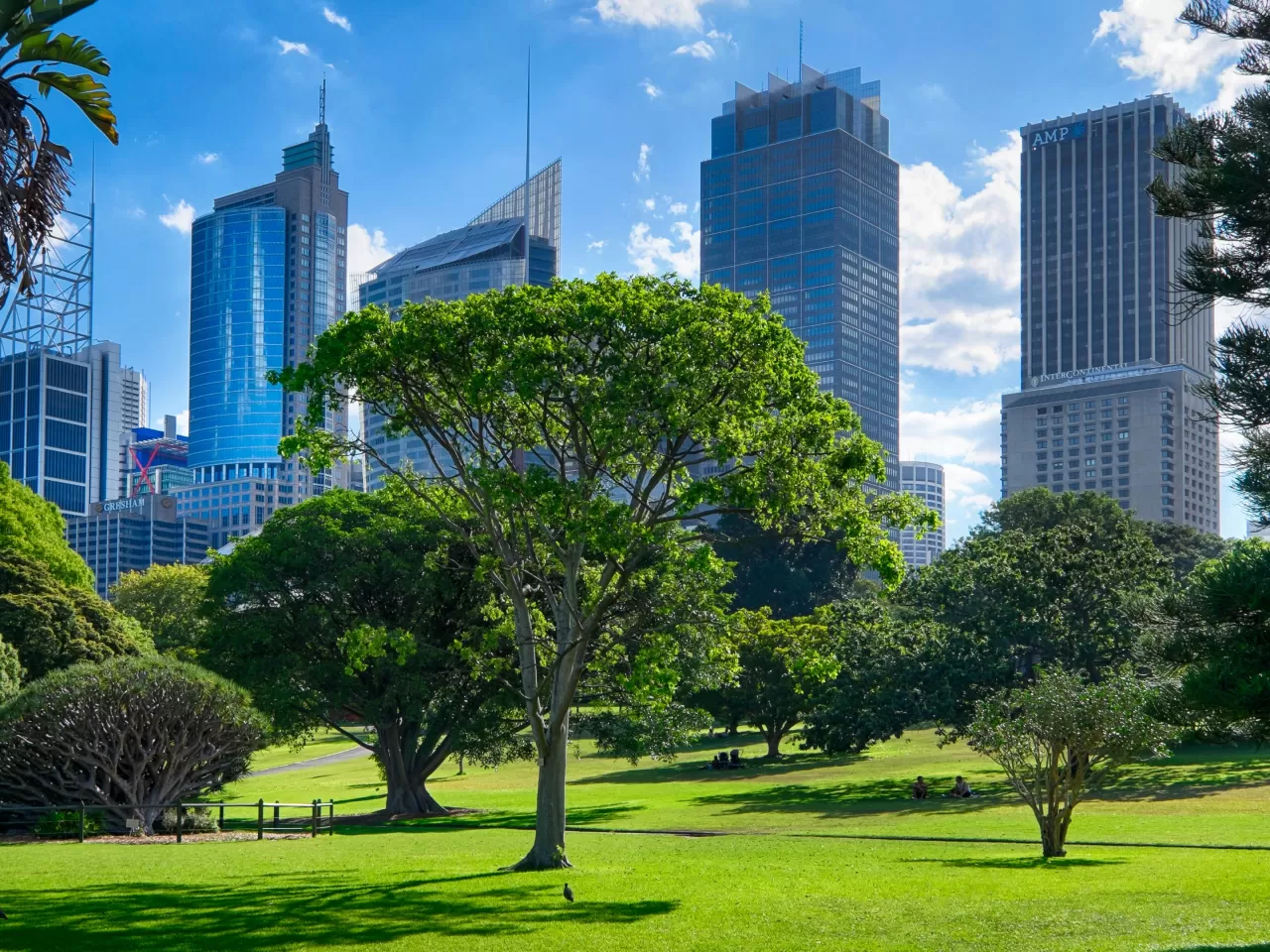 Kraliyet Botanik Bahçesi: Şehrin Ortasında Bir Yeşil Cennet