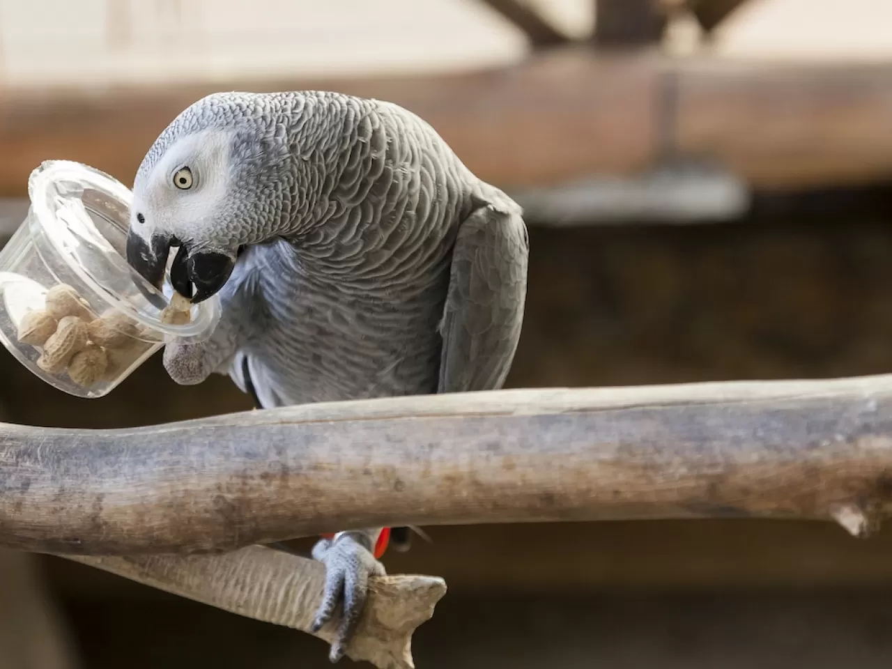 Alex'in Varoluşla İlgili Sorgulaması