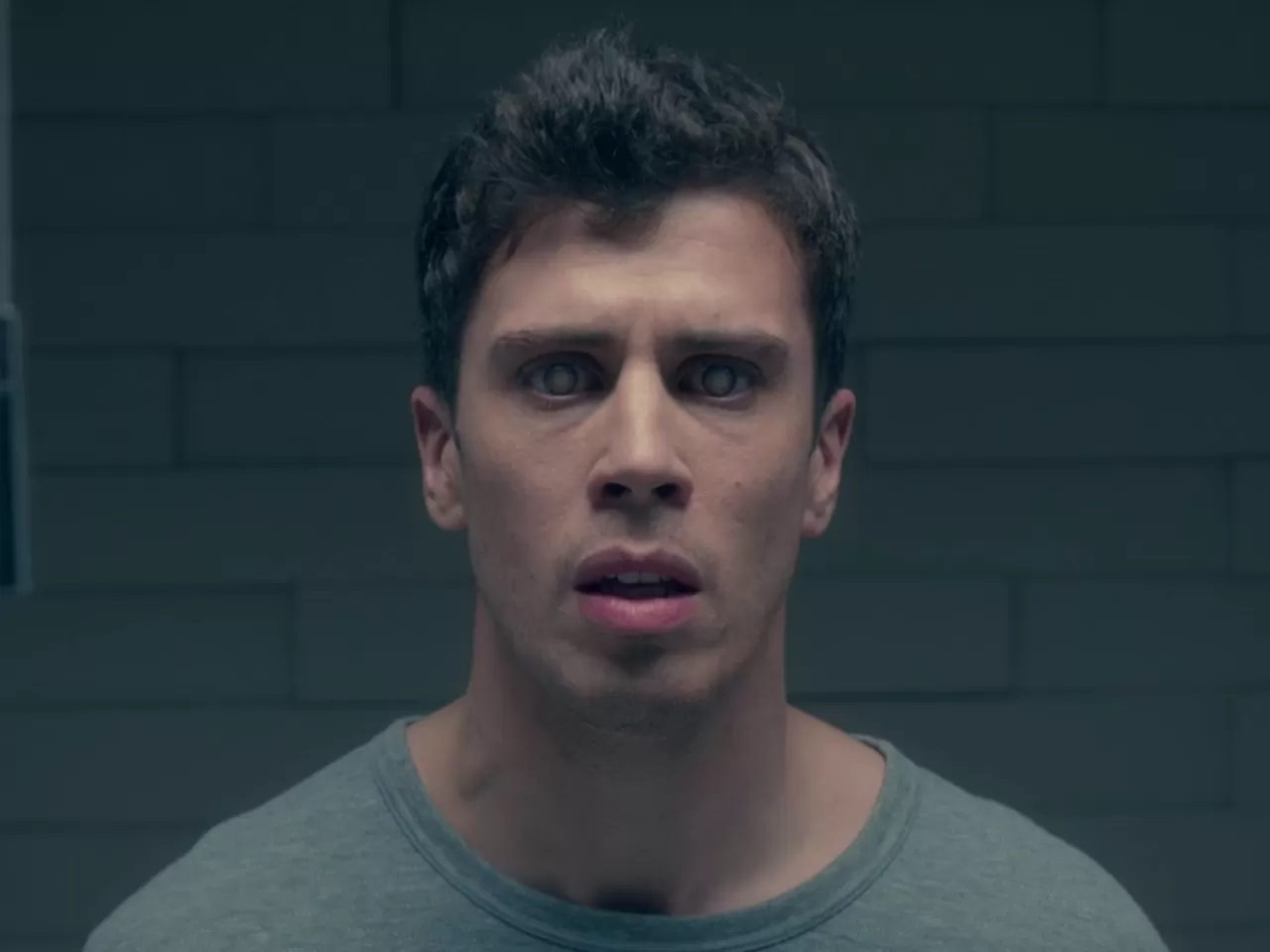 The Entire History Of You