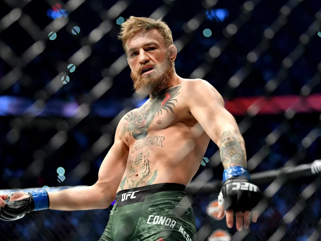 Conor MC GREGOR: Kafeslerin Kralı