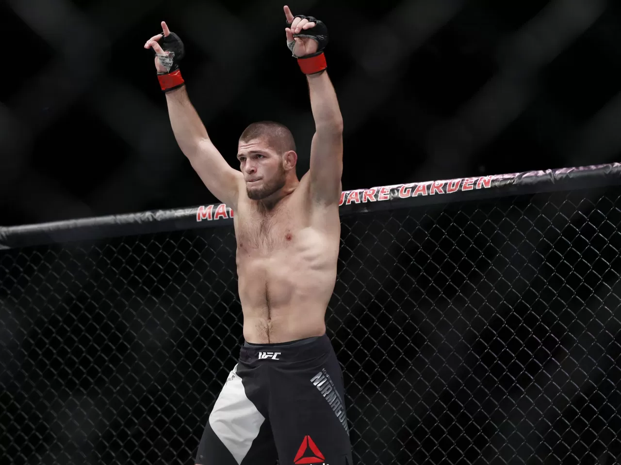Habib NURMAGOMEDOV: Yenilemeyen Şampiyon