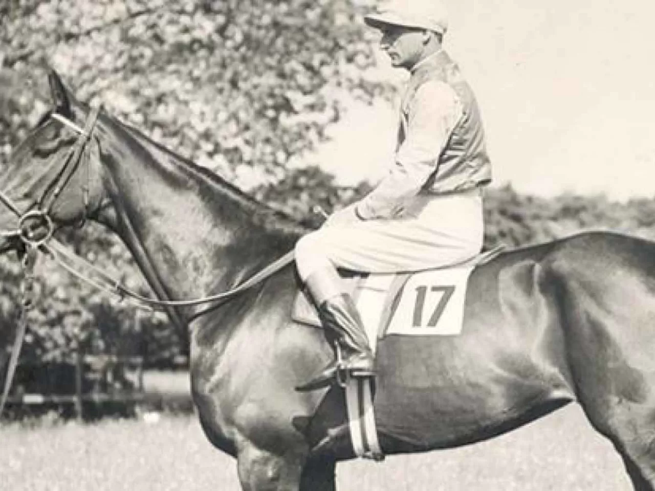 Jokey Frank Hayes : Ölü Şampiyon