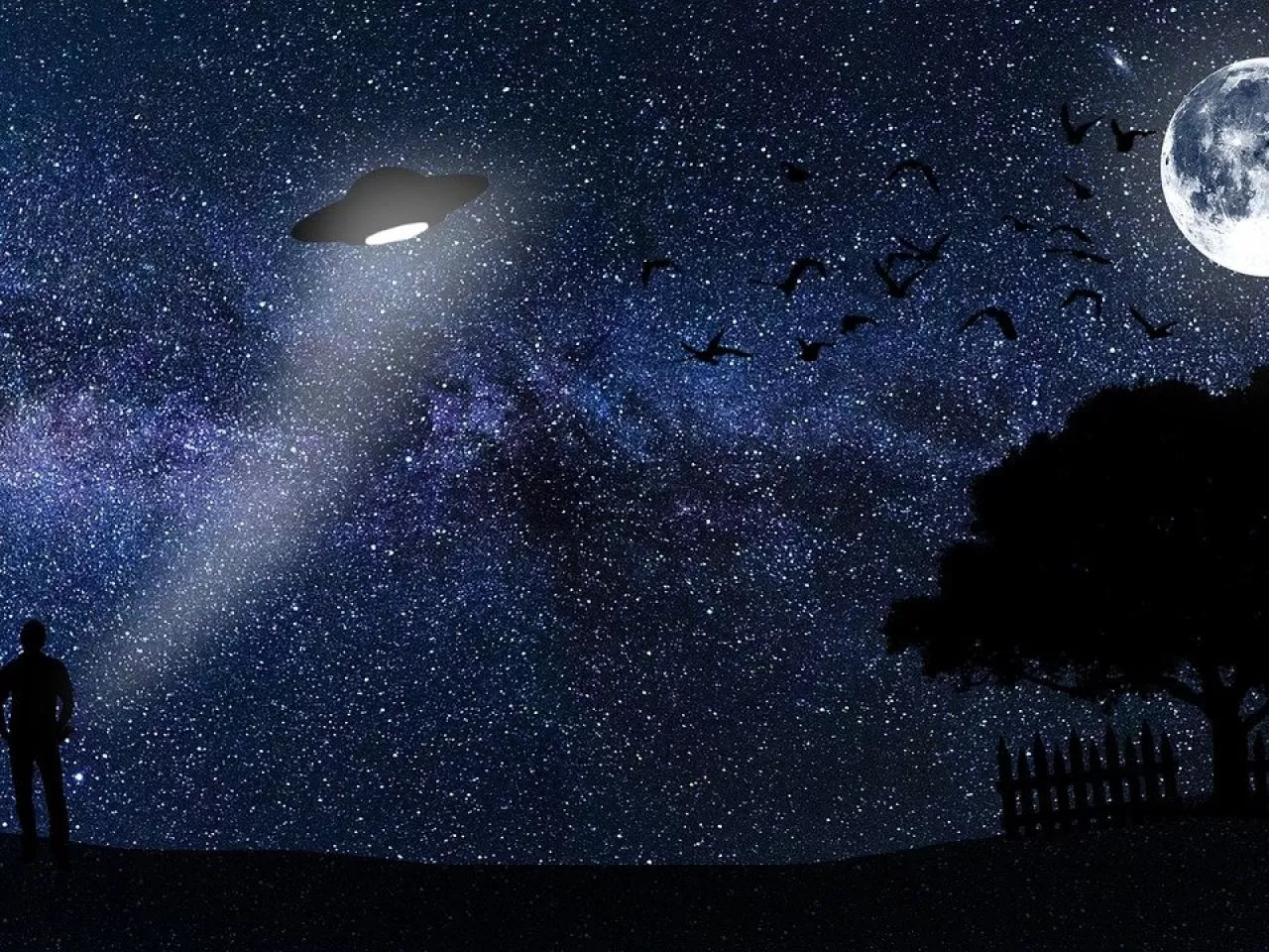 Uzman Astrolog Aygül Aydın