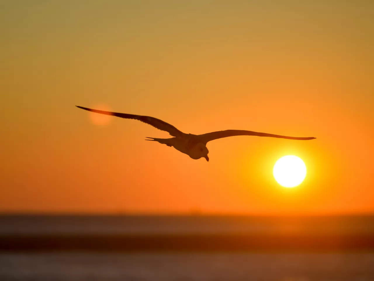 Ahmet Hamdi Tanpınar - Deniz Ufkunda